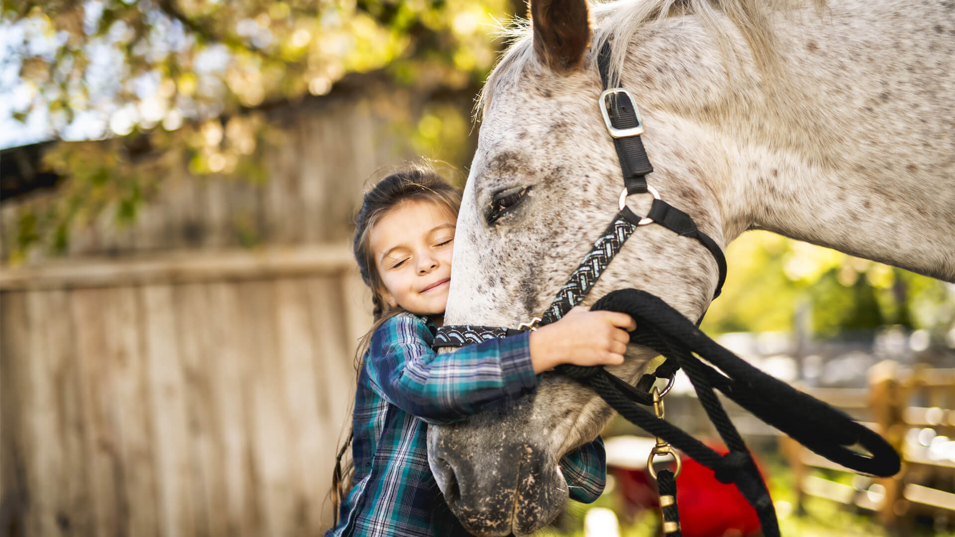 Healing Through Horses | Equine Assisted Therapy