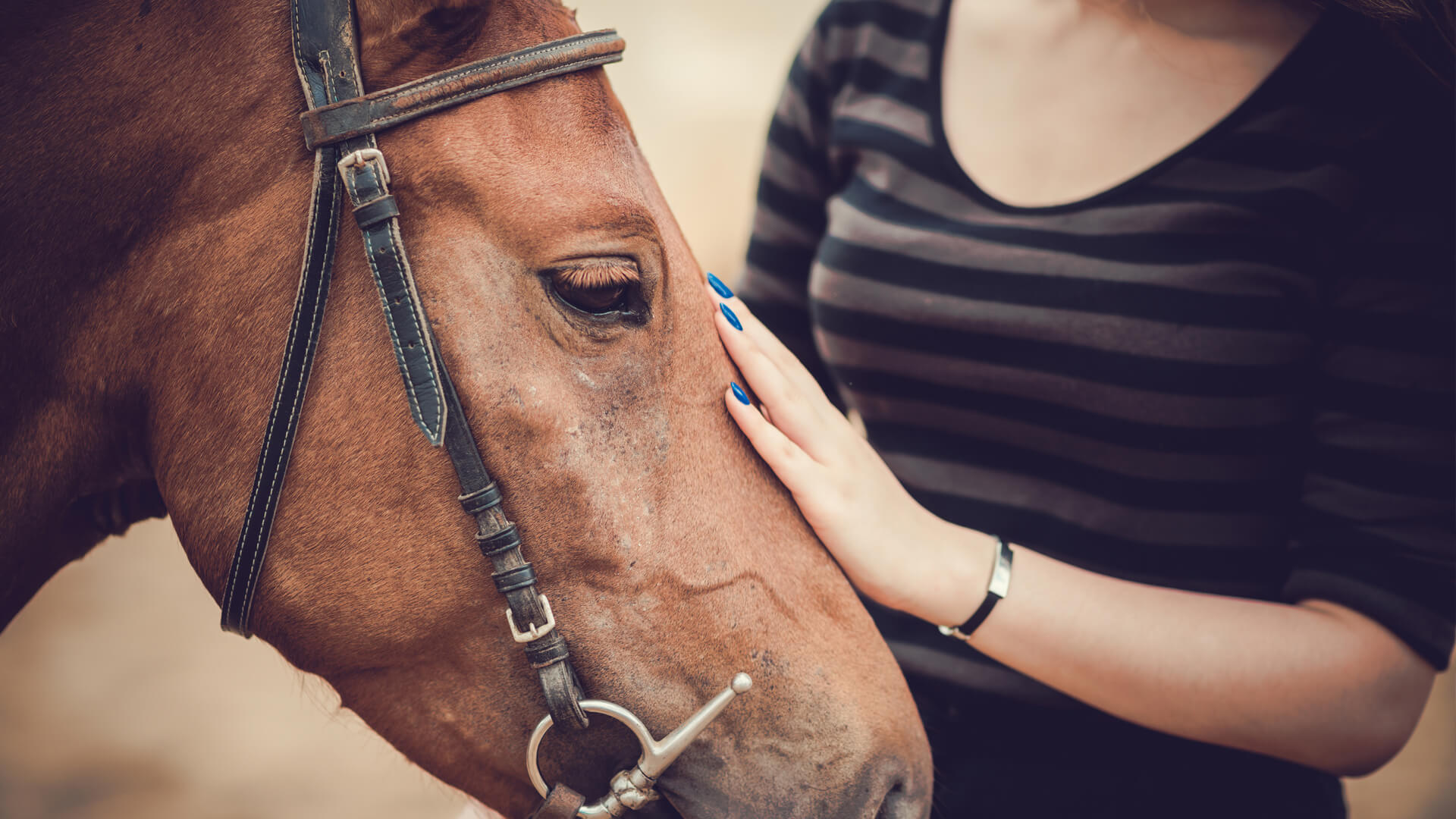 Healing through Horses | The amazing power of partnership