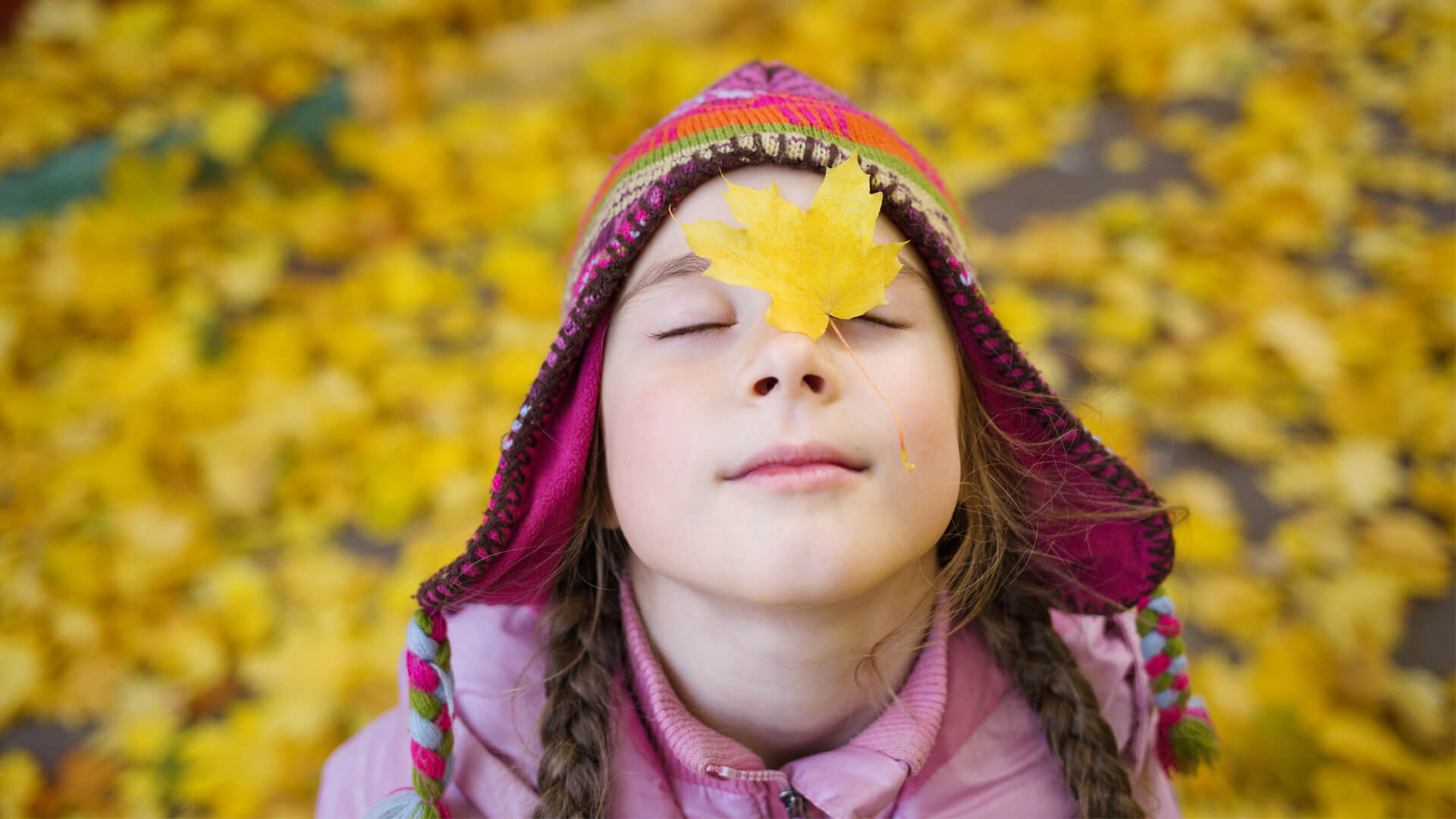 Wild About Learning How Nature Nurtures